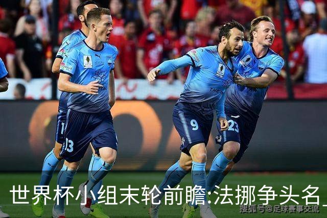世界杯小组末轮前瞻:法挪争头名 西班牙仍不稳