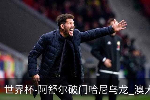 世界杯-阿舒尔破门哈尼乌龙 澳大利亚1-1埃及进点球